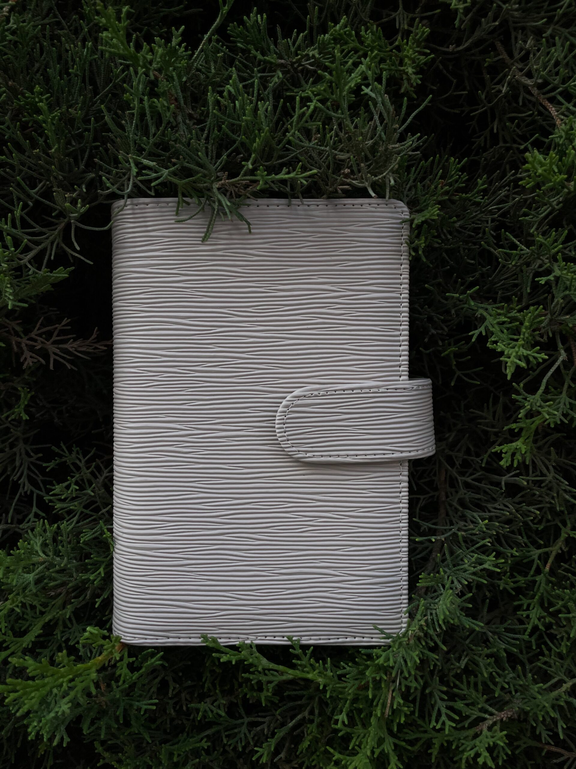 BEIGE LUSH - Image 4